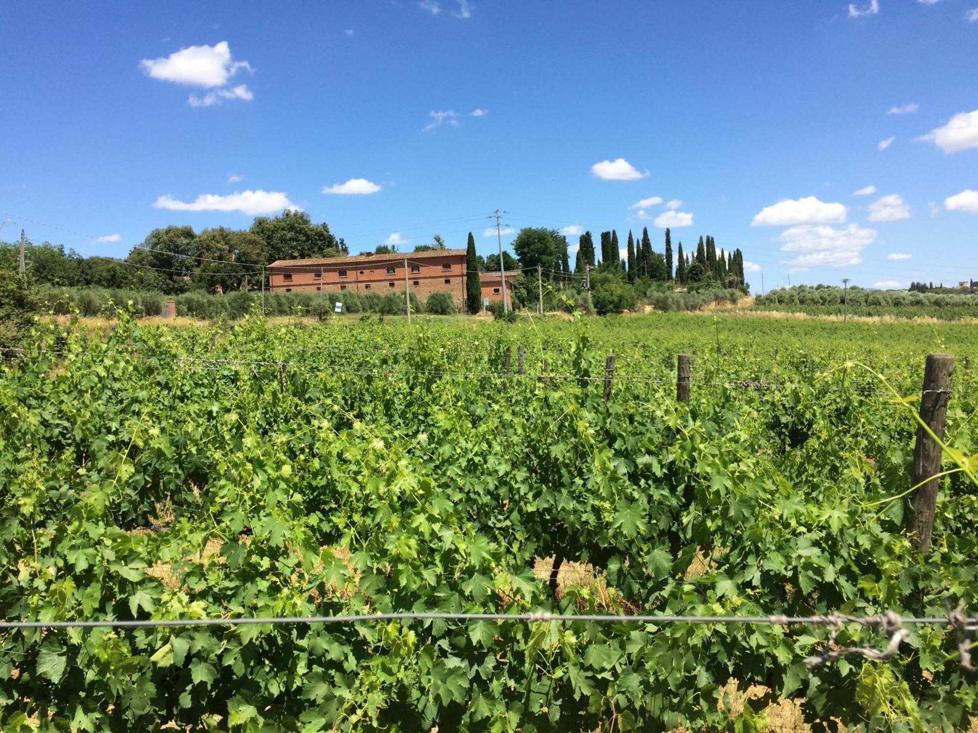 Agriturismo Fattoria Santa Vittoria Pozzo  Eksteriør bilde